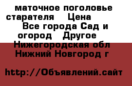 маточное поголовье старателя  › Цена ­ 3 700 - Все города Сад и огород » Другое   . Нижегородская обл.,Нижний Новгород г.